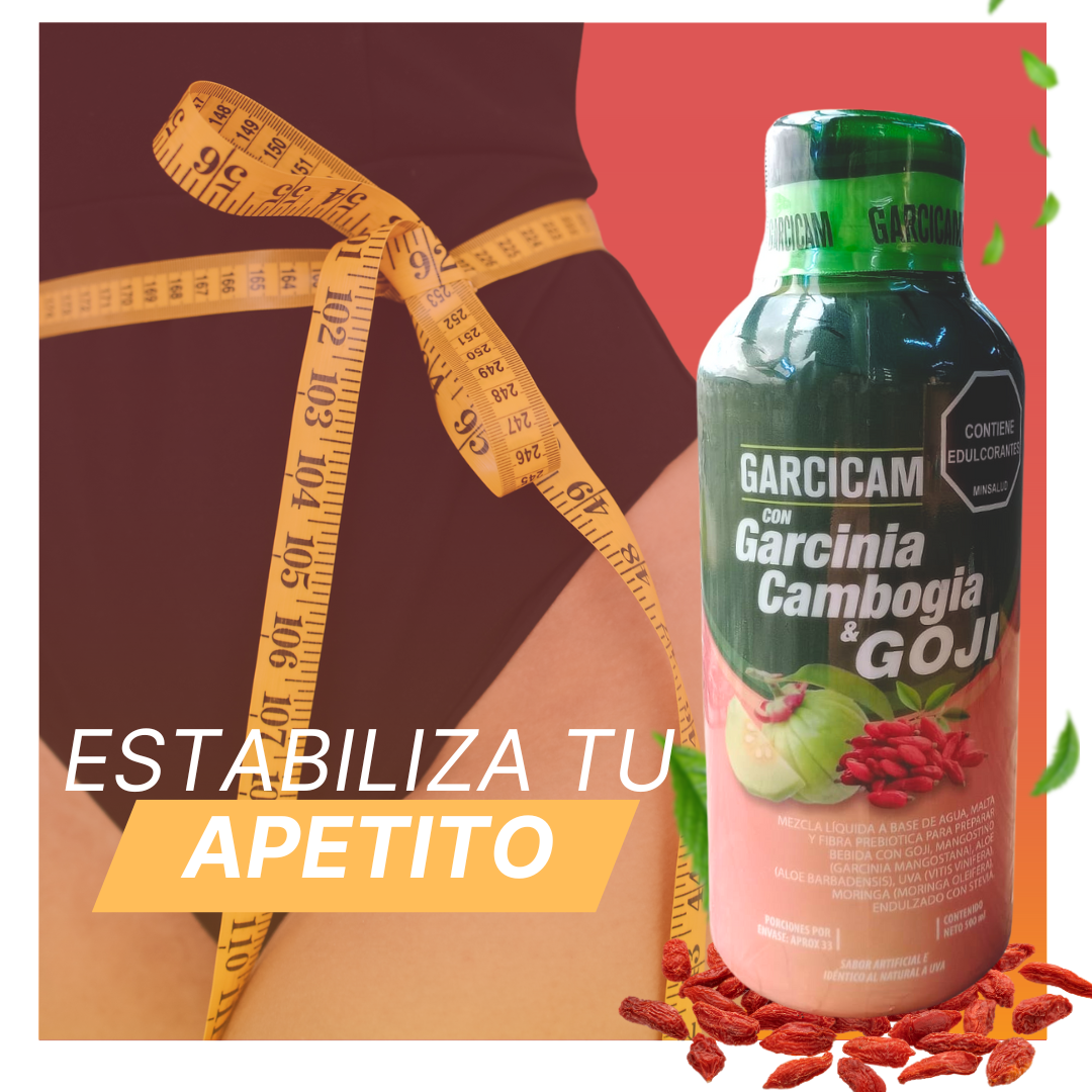 Bebida Adelgazante Garcicam X 500ml